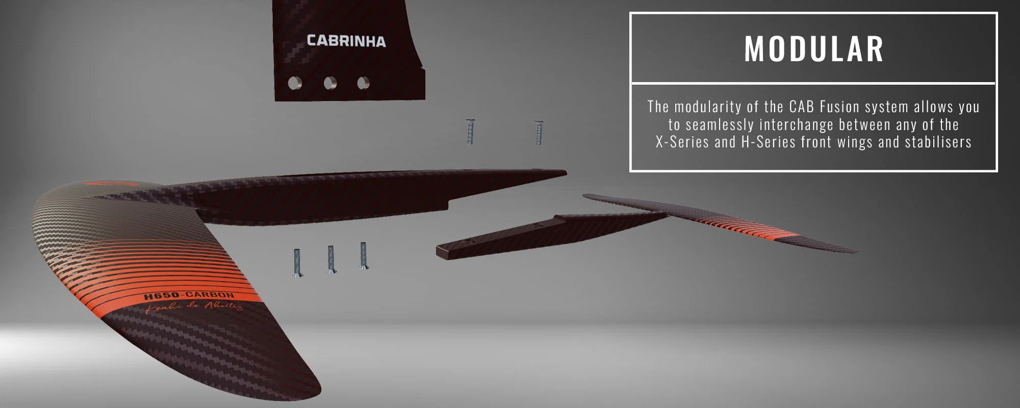H SERIES FRONT WINGS - Image 4