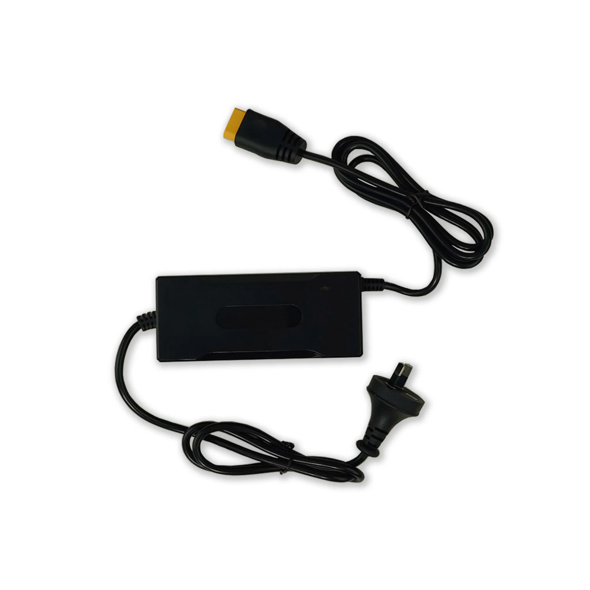 FOIL DRIVE 40V FAST CHARGER 8AMP - Image 2