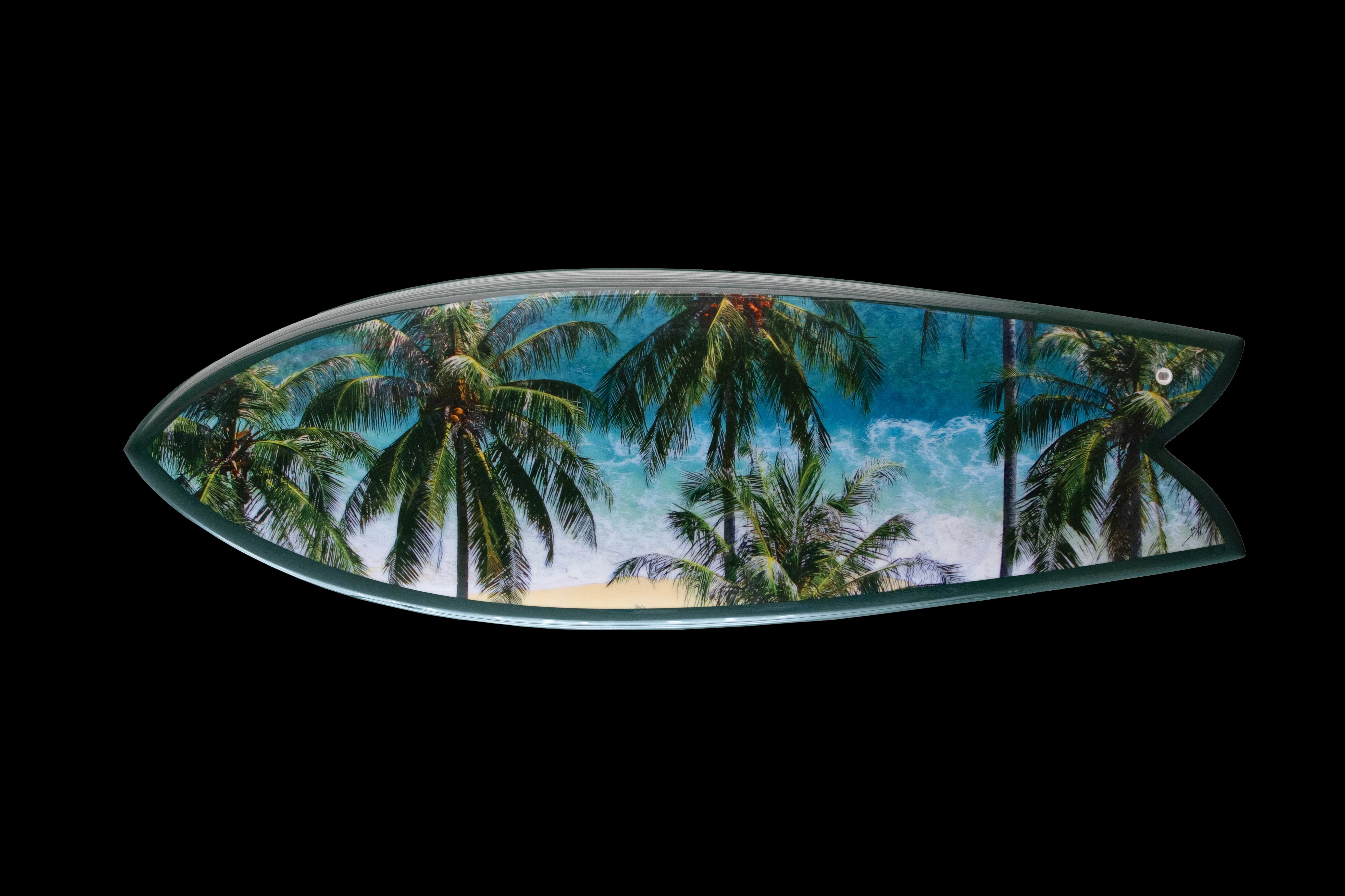 Palm Trees - Ben Hicks - Image 2