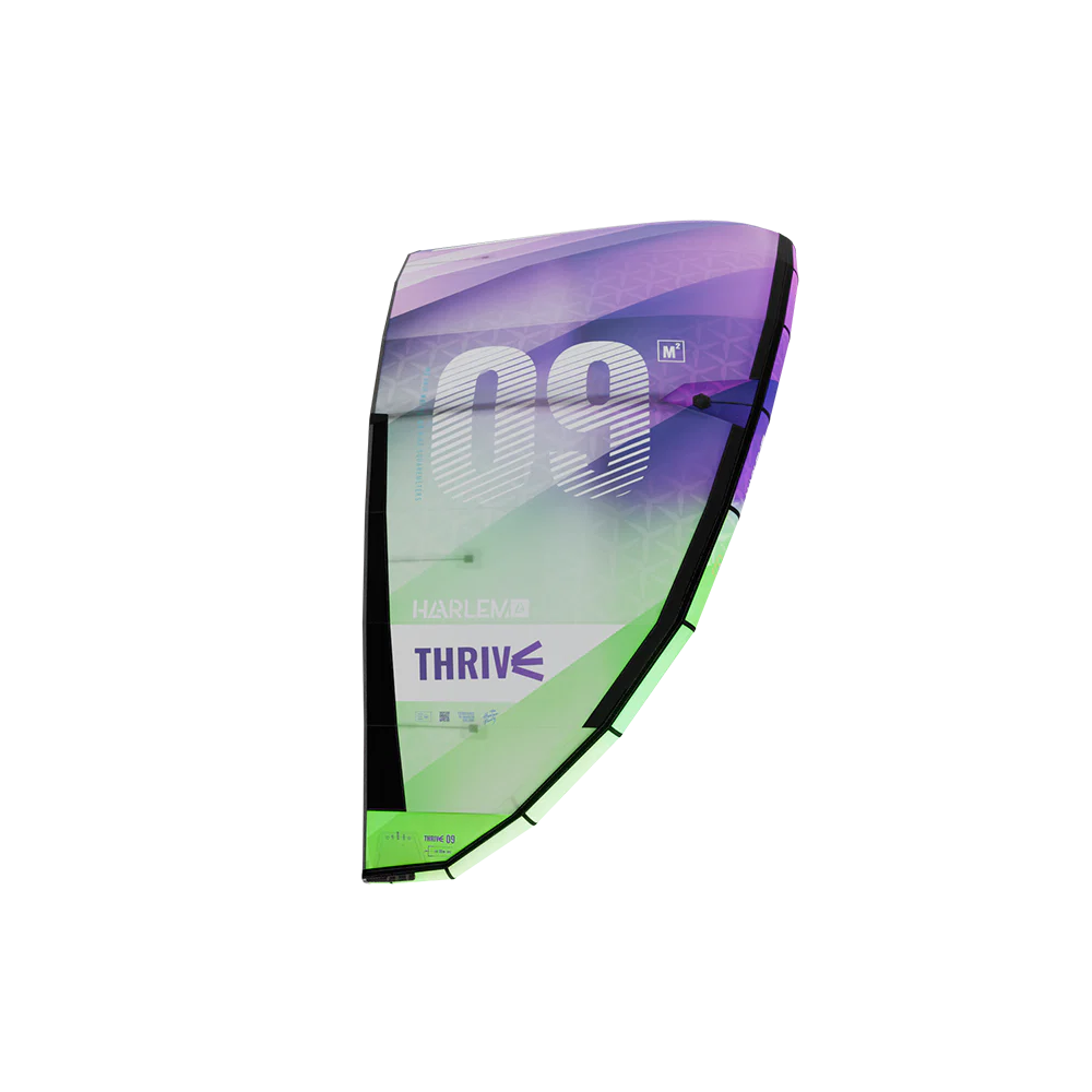 Harlem Thrive - Image 4